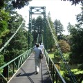 中山CC吊り橋№2